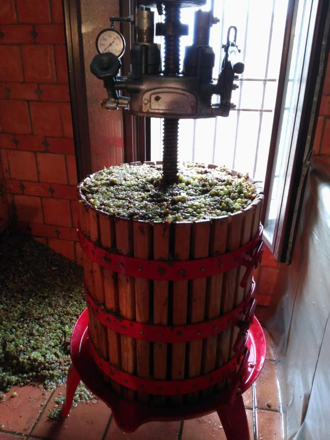 Casa Rural La Bodega, Ofrece Cata De Vino Gratis Horche Exterior photo